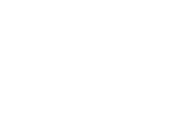 Networks and Telecommunication