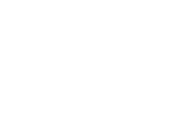 Windows & Apple Systems